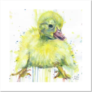 DUCKLING watercolor portrait Posters and Art